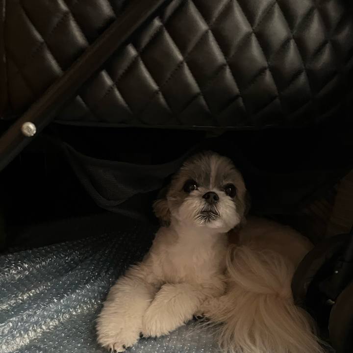 7c5e0b75 b589 4577 bc8a ad1e2432b1d9 1660788930434