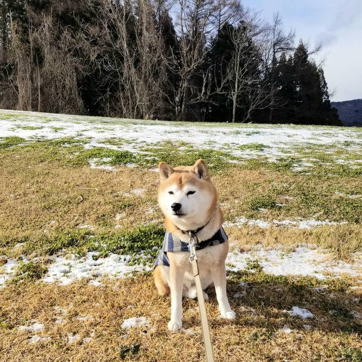 7c5e37cf 2392 4680 9482 1626dcefdf38 1671773013403