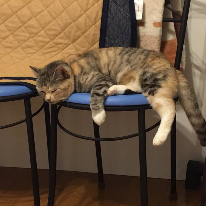 7c5e5555 bcd6 4582 9be1 642778366729 1560951092288