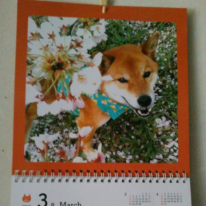 7c5e567c cbc2 4b9f a6a5 22df9645be81 1519883278562