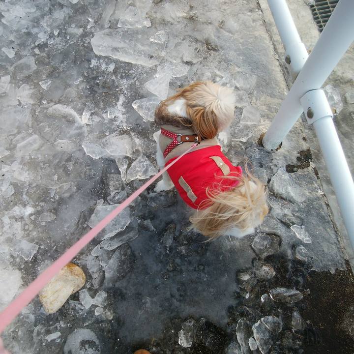 7c5e611a 8fbb 46d4 8744 60121d9c7818 1517048027623