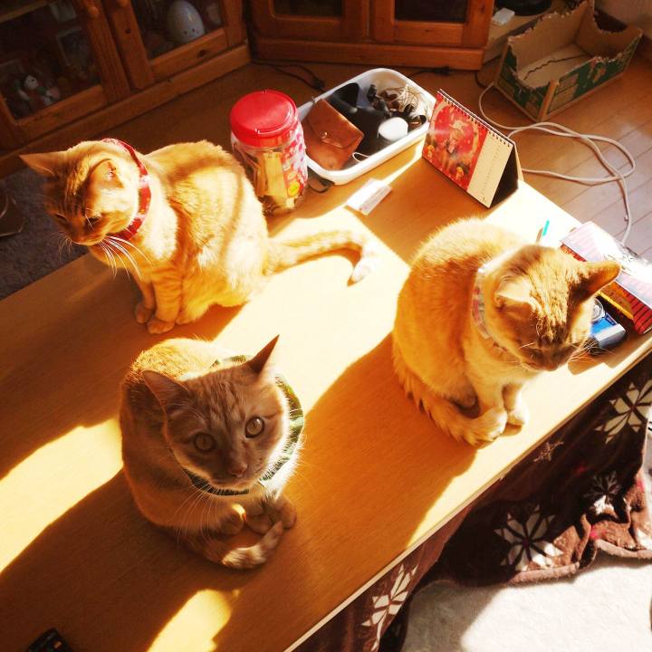 7c5e691f 514c 4b7f a8d4 b2a78b865e10 1642138293493