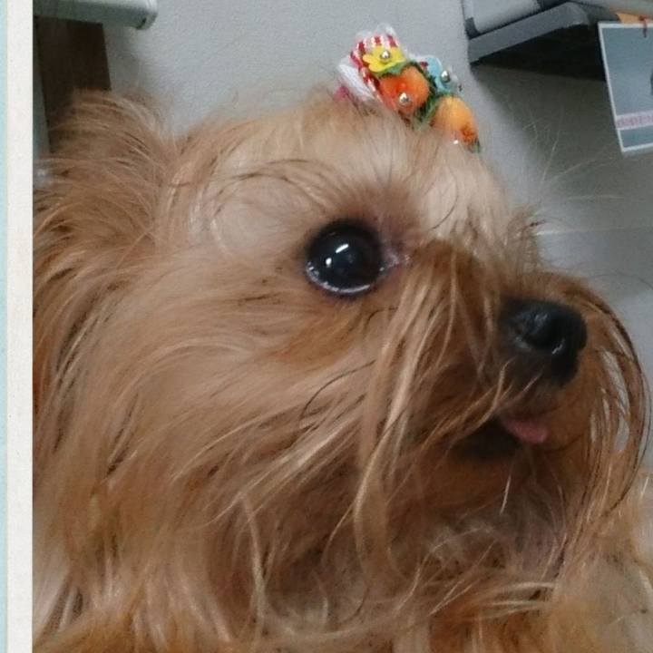 7c5e93bf 7213 46d9 b398 5fbc7cdc360d 1687346930163