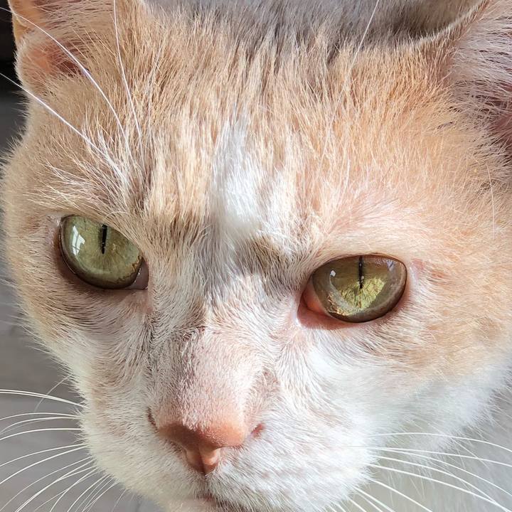 7c5e942c a96a 4fba 8c7d 5818ab93a31c 1531280682025