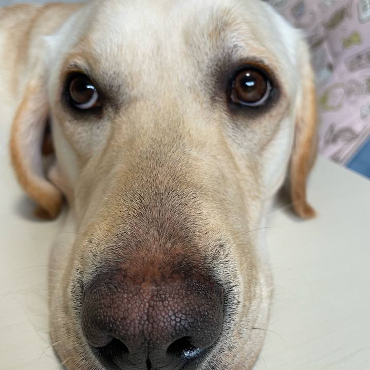 7c5eaa16 d004 45f3 84de de75127f632a 1648171901605