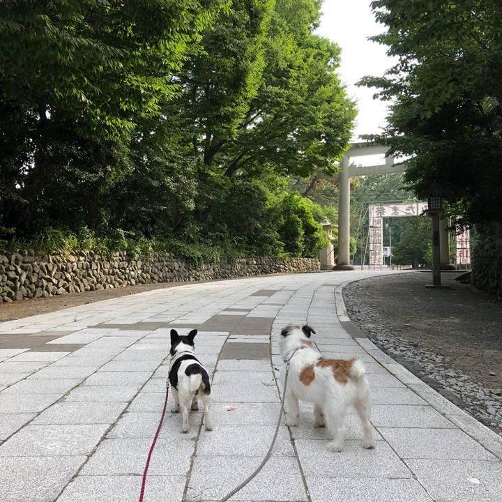 7c5eb2f8 b3ff 4ca6 a1f5 590b9bb47985 1532218374144