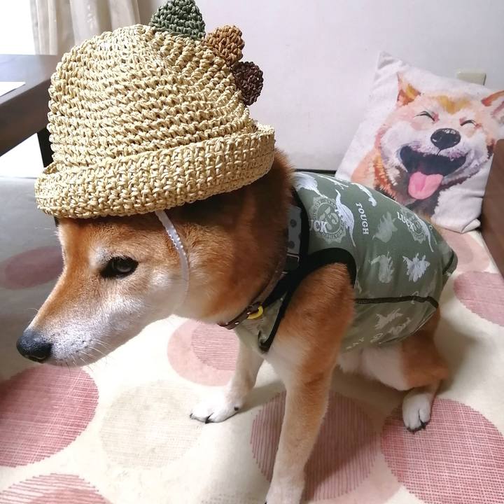 7c5ed3a8 6913 4bbf 9167 f62cb92e7f53 1652790427990