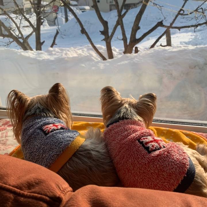 7c5ee5c2 bf71 4cbf 9a26 6f500187c108 1614590531240