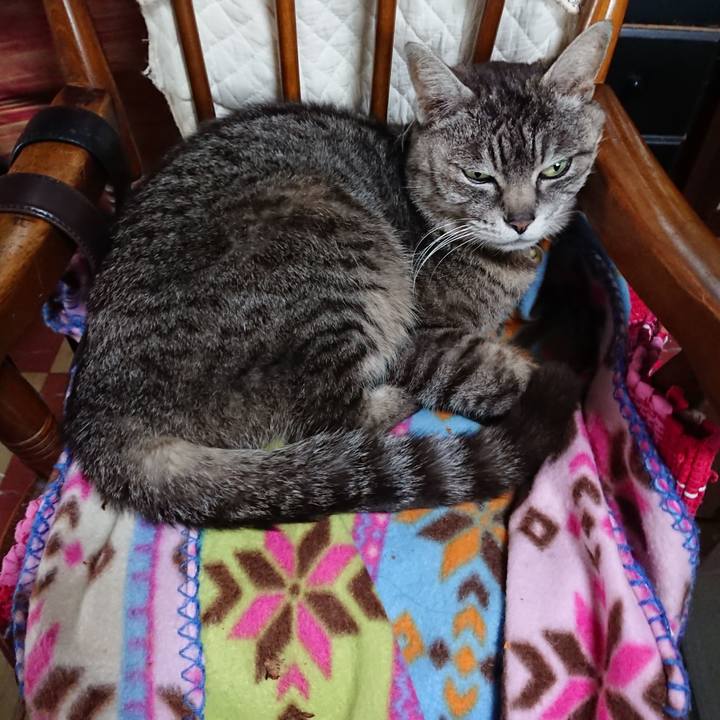 7c5f0088 8819 48d7 9a6d f8220729c277 1557534368563