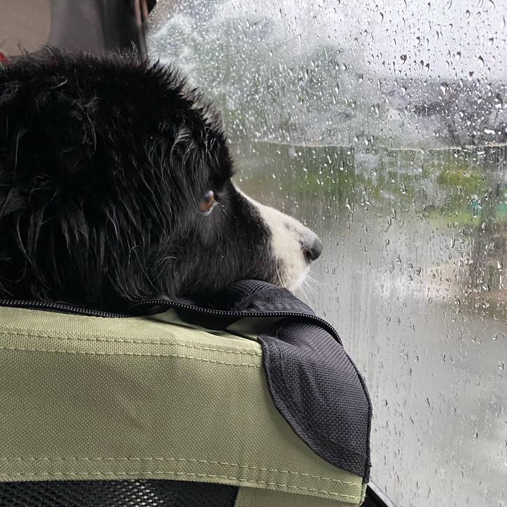 7c5f0455 1f5c 4d95 8b02 db82f29ccbea 1595541801801