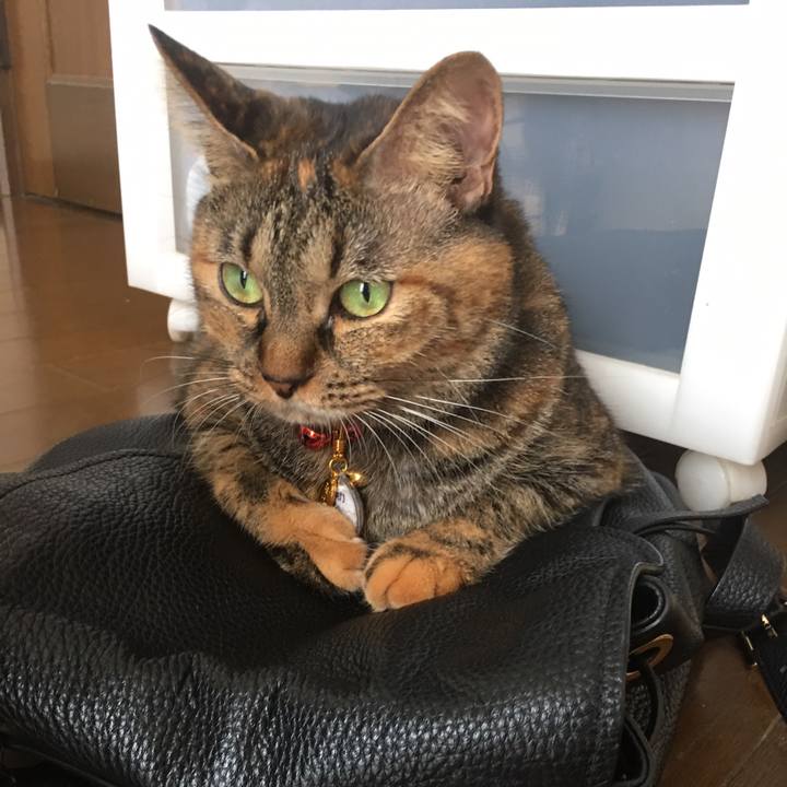 7c5f40dc 50ea 4d28 b0a2 72f586ad1dff 1608516546432