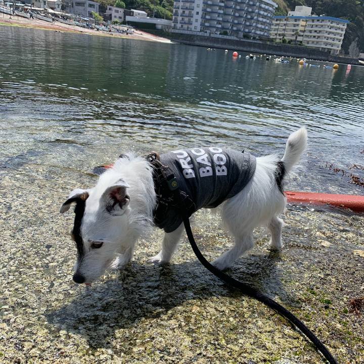 7c5f420c bffc 4639 a59d 4bca71faa360 1713583136808