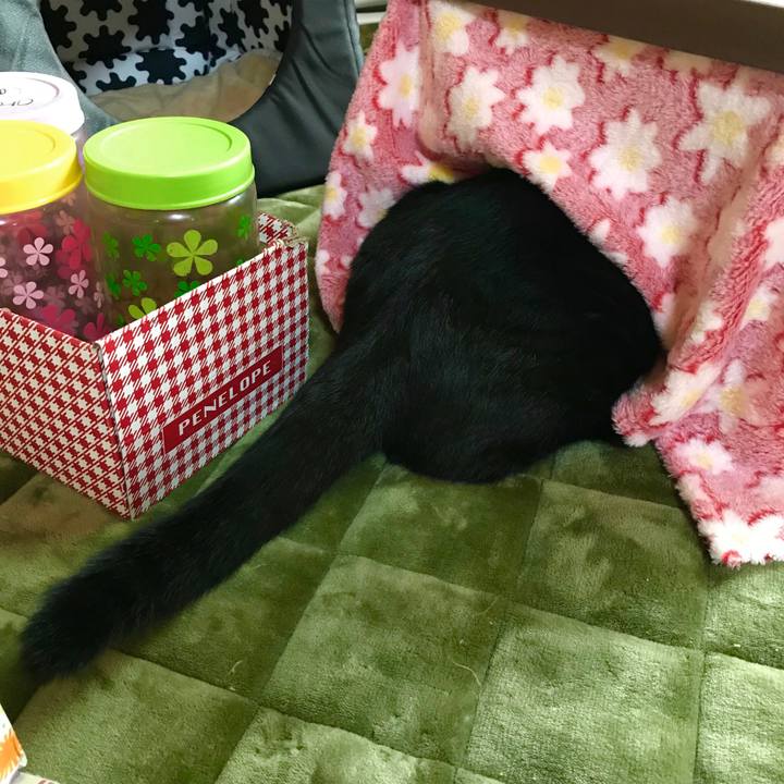 7c5f504c 946a 4597 abce 198bc32d39bb 1508221965354