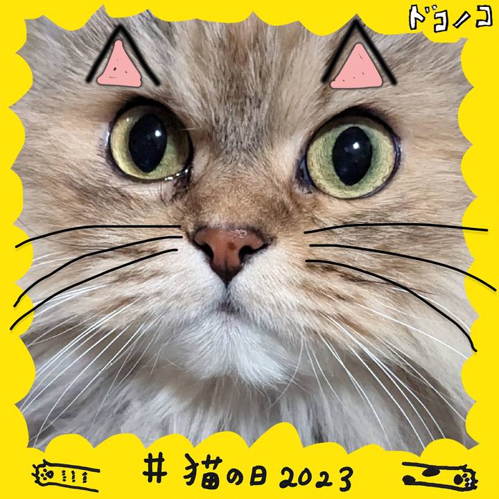 7c5f7ba5 ef3b 49f7 a621 ff26b57f73fc 1677094987665