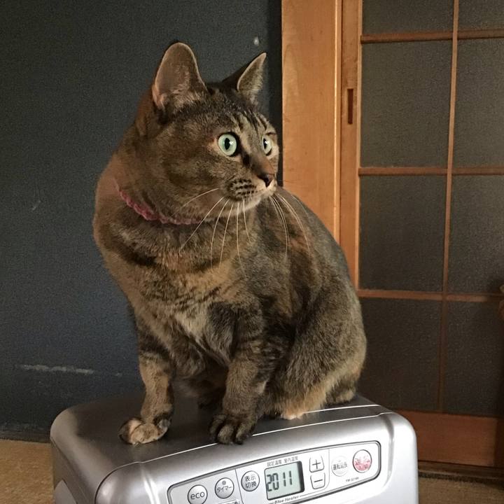 7c5f8f9f 937f 47dd b6f6 74536a186fd7 1735605029394