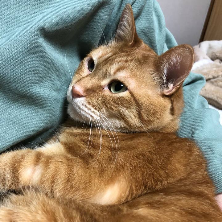 7c5f965f b934 4dfd 9a8c 2bb8a28ab312 1646135895672