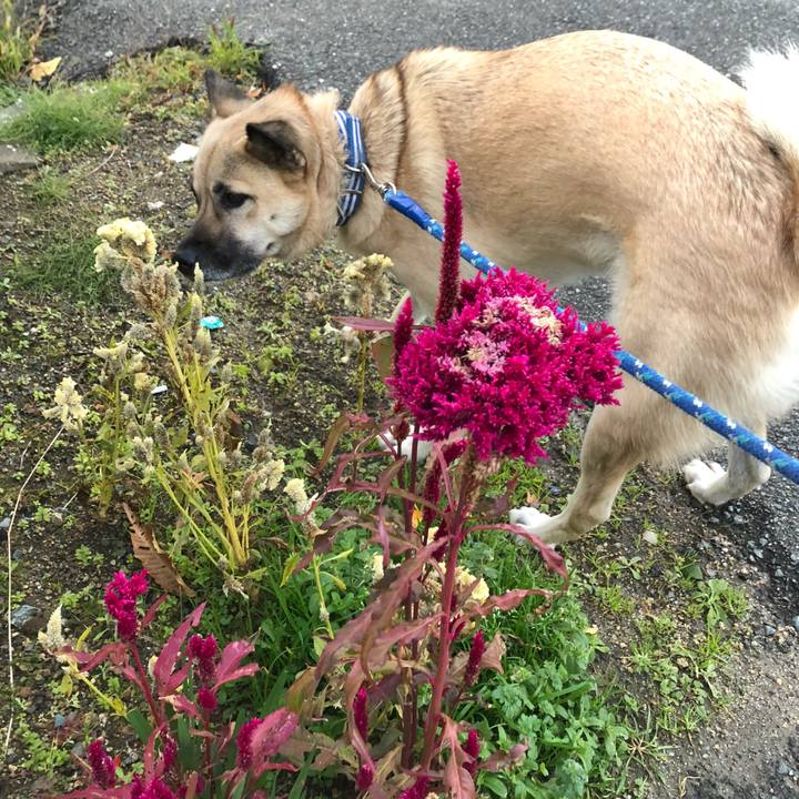 7c5fba55 7d62 4f64 abcd cecdb902a198 1545134397885