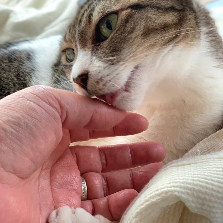 7c5fbda1 8c32 4287 b1af 14309c390ec9 1589331729836