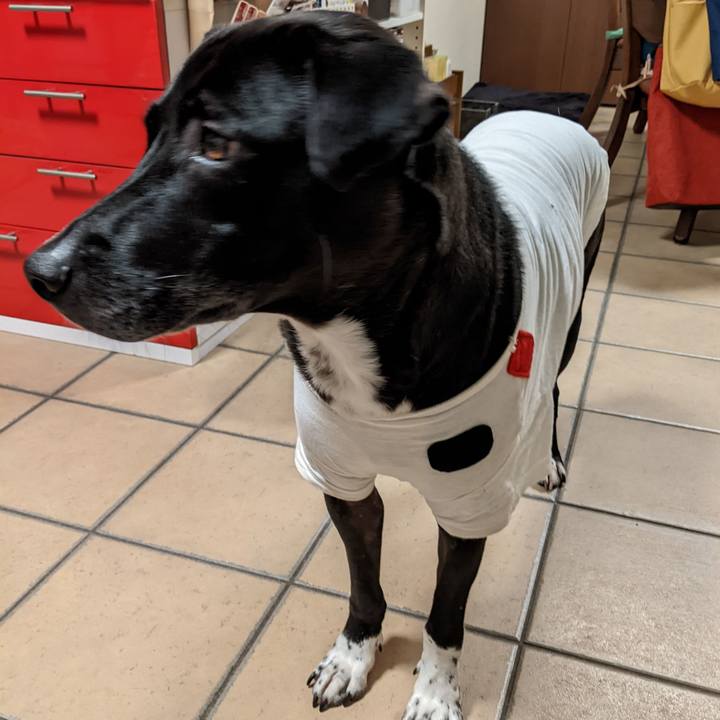 7c5fc00a 3da1 4223 a8b1 1634af5cf9bf 1638883110082