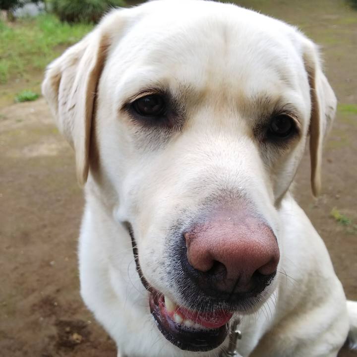 7c5fecd4 74cf 45ea 866e 3f23c3bb0b21 1561072172259