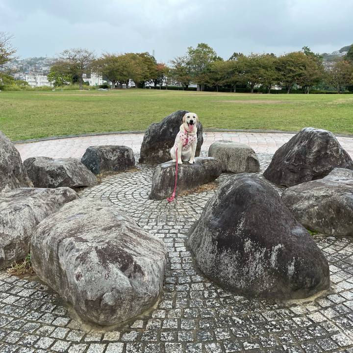 7c5ffb37 8d90 40e7 bab5 764c8aa32baf 1635075766437