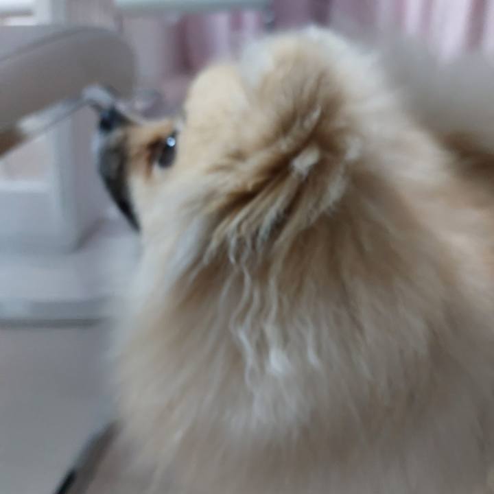 7c601ba5 0fc9 4fbe 945e d747f42887ec 1650597173171