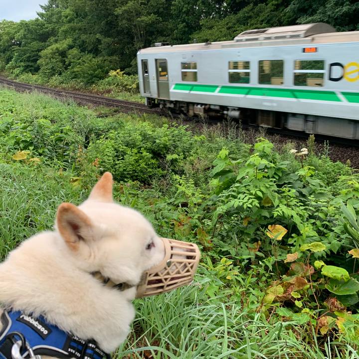 7c6077c4 9dc7 4ebc 8ed0 2d61951de093 1629666049018