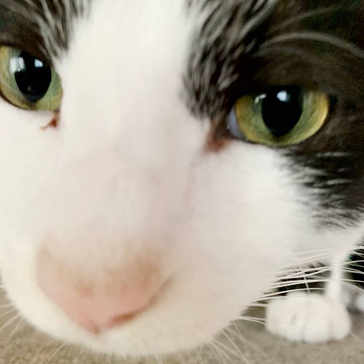 7c609ab1 0596 4f7c 8480 578c06f8a9f1 1543022457099