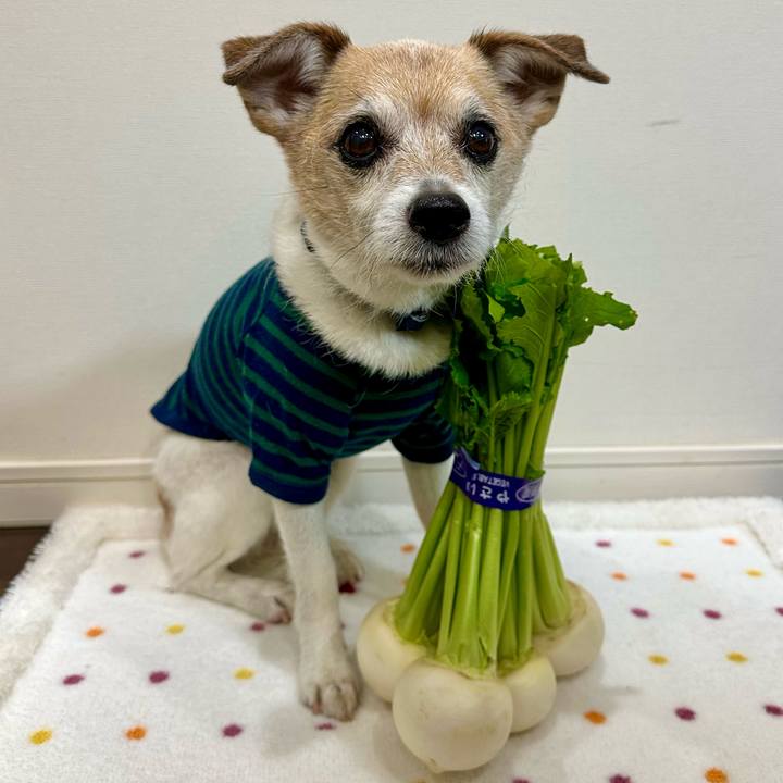 7c60bb79 f7ad 439c 8574 bb44a98f7252 1682469317454