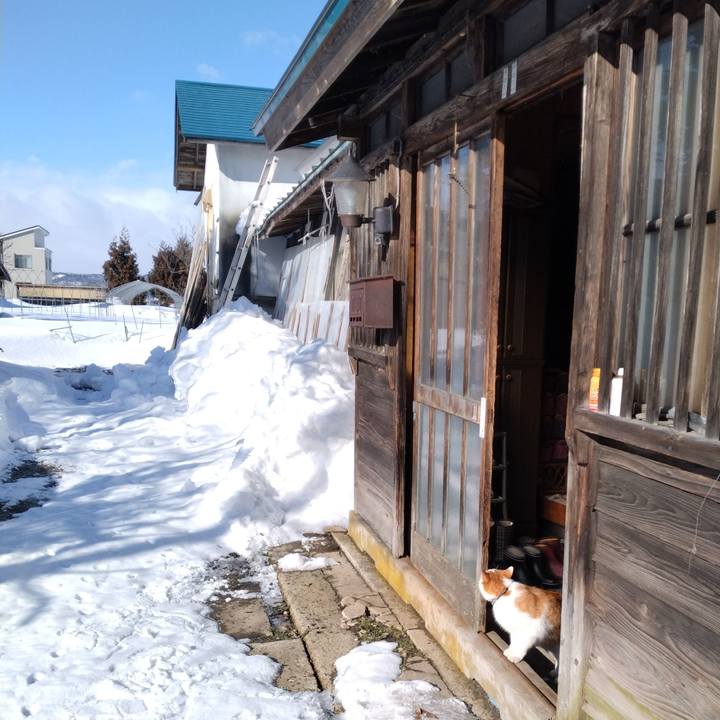 7c60ff5a f65d 47f6 8c9b 0bd15aacb544 1770512569255