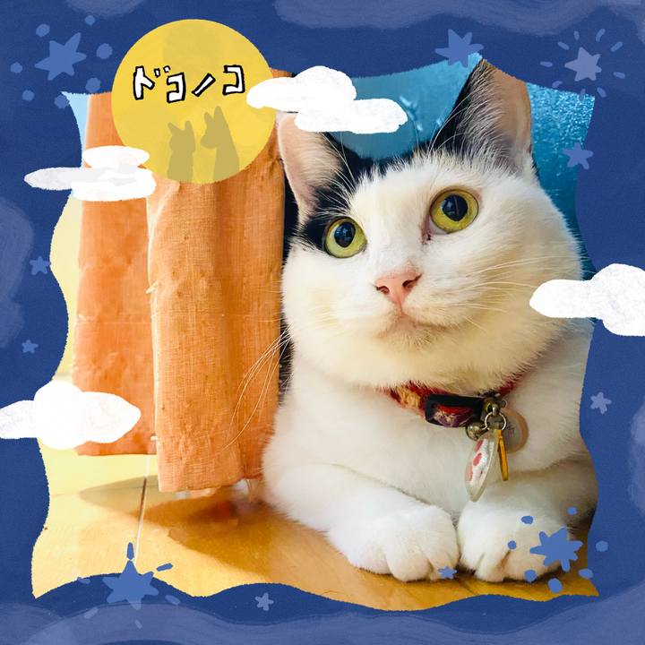 7c611ca3 e938 43a8 8537 cdc41b8c6c21 1726829967773