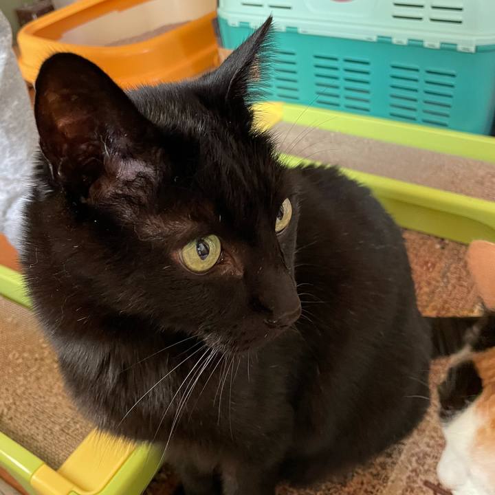 7c6125da beb1 427f 8fc1 9727b68e8fe5 1612489130689