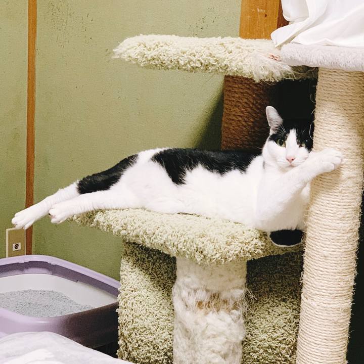 7c612e5a 3bca 4389 b567 5707c69db661 1554861505982