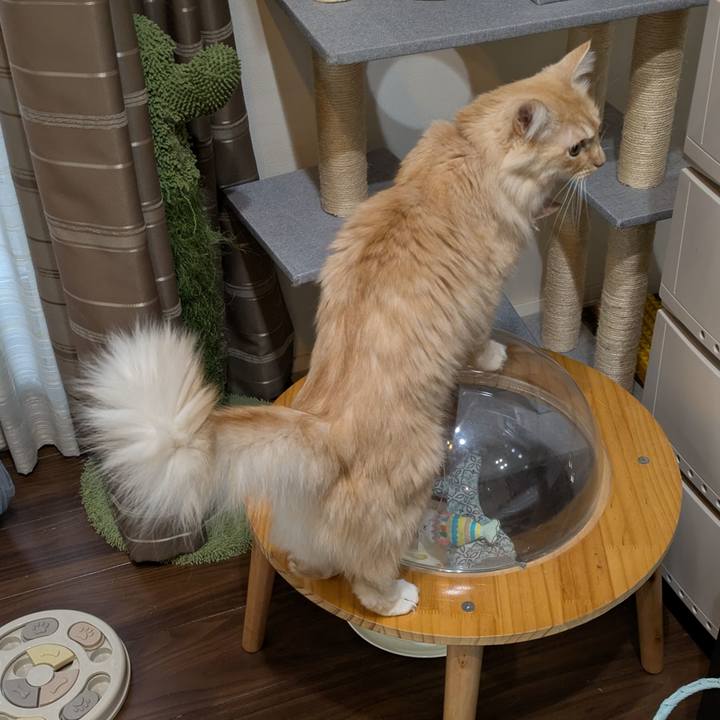 7c6132ab 43b3 46d5 b257 b79211ee7348 1735858726382