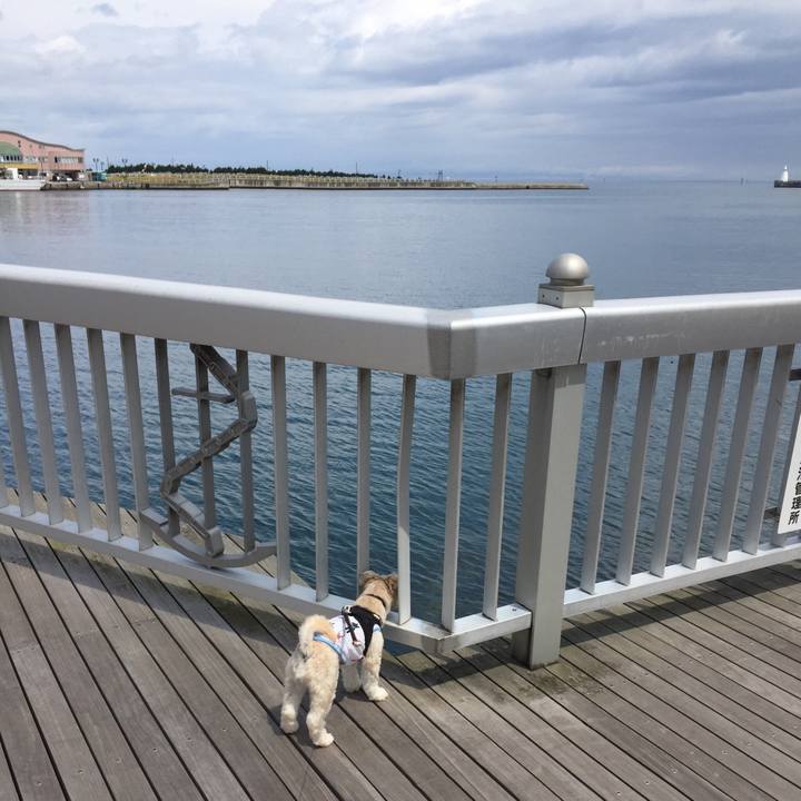 7c613b8e d308 4ff5 8d9a 1f4054eb4e41 1530402051889