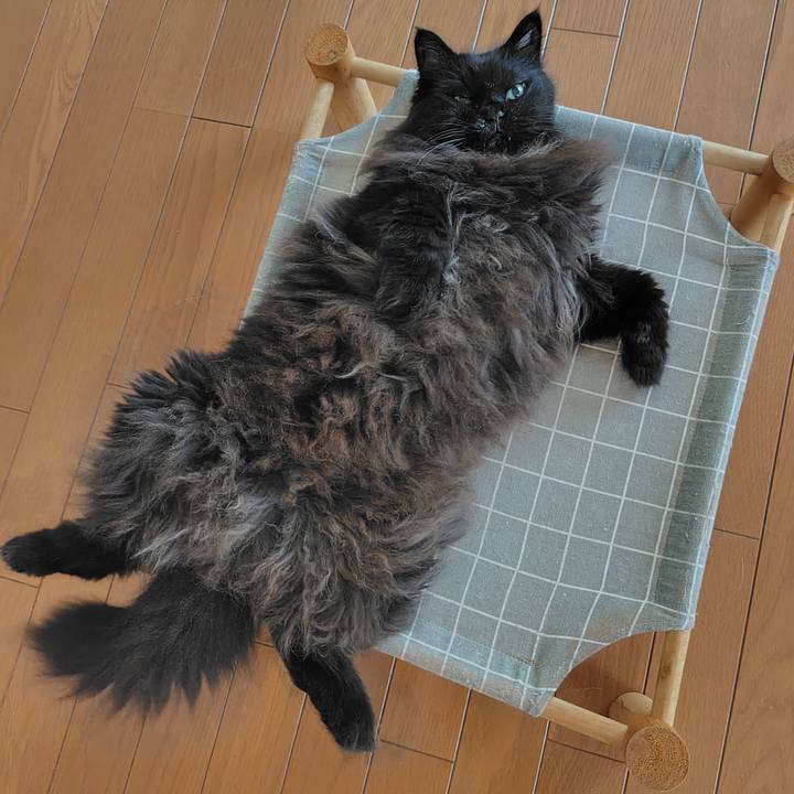 7c613d70 fc43 4739 838c 6bf5a1671ad9 1724990702960