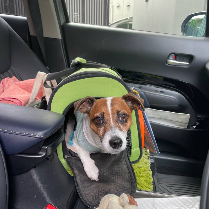 7c61d956 89c9 46c5 ac5d 52d552a9d099 1716079429177