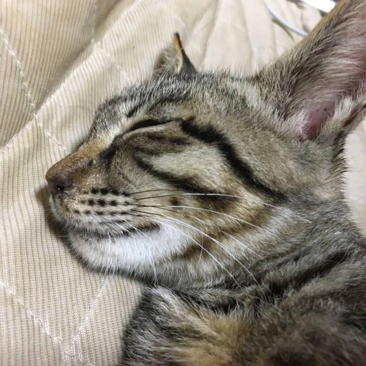 7c61ecc5 2762 476c bae7 f39c0474347a 1536763821668