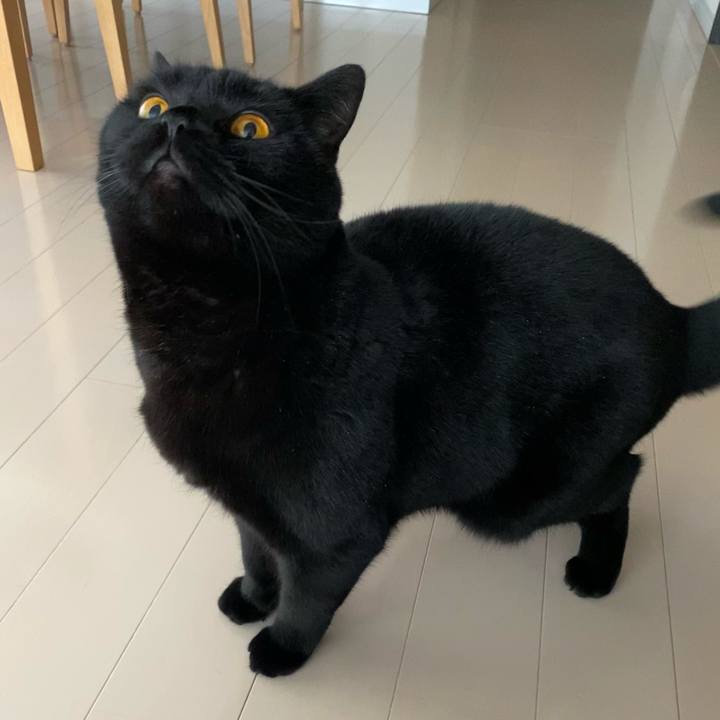 7c621126 8120 42f2 93ea bc36964be57d 1609286661905