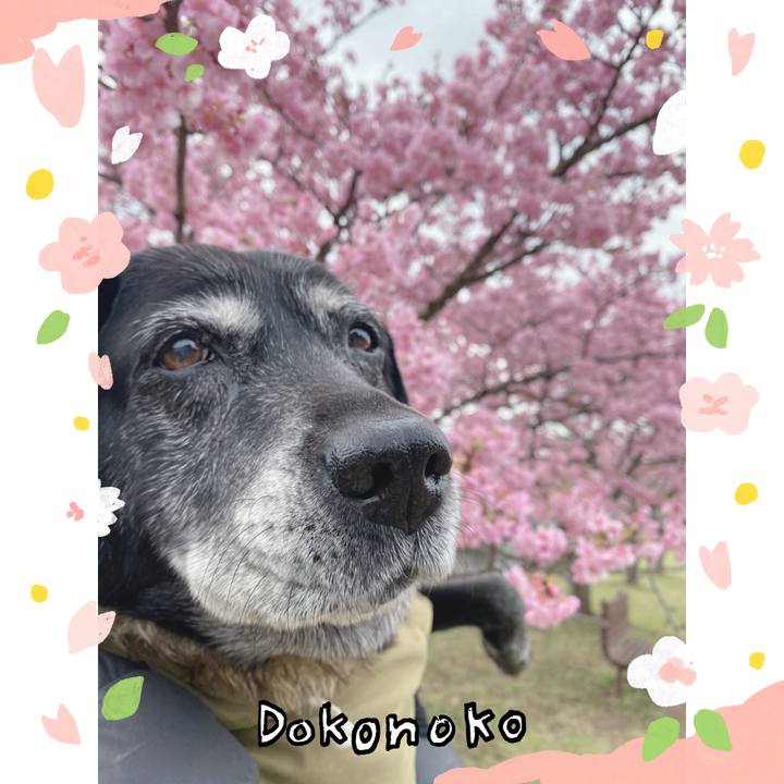 7c62a6a2 20a6 432e ab90 b6363e64aef7 1710988596925