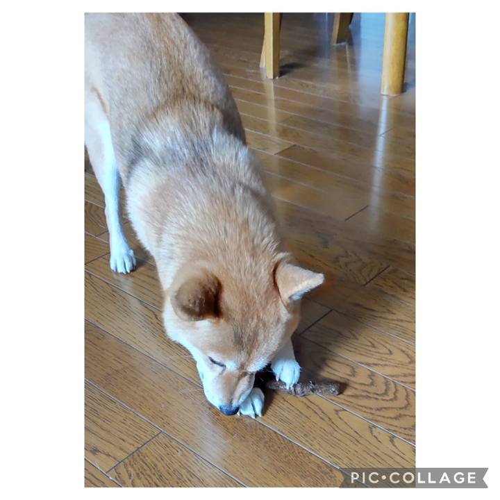 7c62ab1b fce0 41e7 bbc9 4d13694cecfa 1672376299496