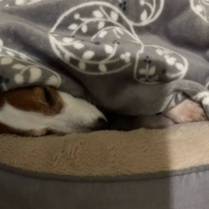 7c62af13 f1c1 475a bf1d 944e6f129048 1743127751069