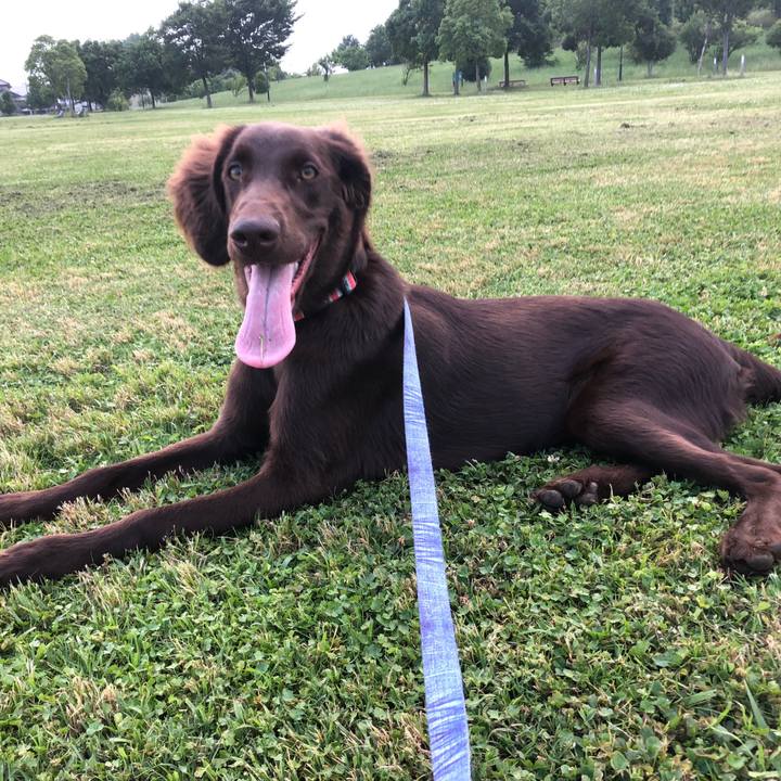 7c62e9a2 c0a6 49ca 8f27 d77a46d25854 1560997080365