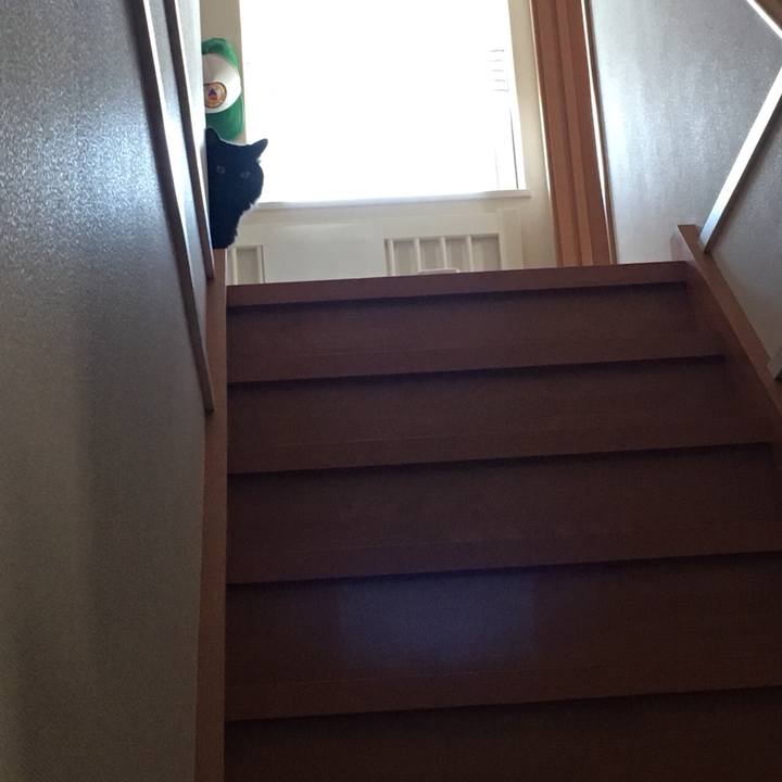 7c62f164 c074 4ffd a538 e23417c5ea6d 1531531797154