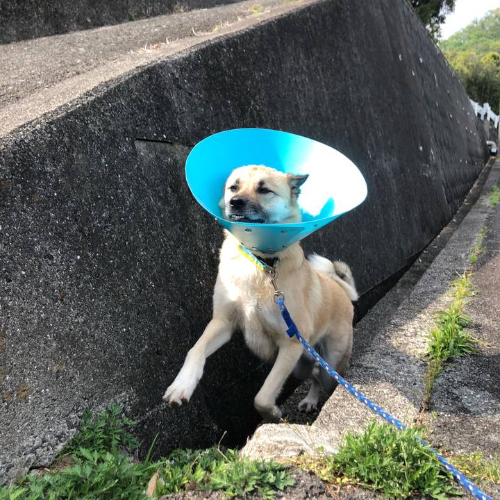 7c6334c5 3104 4f83 8c96 d08d541fc71f 1588417346871