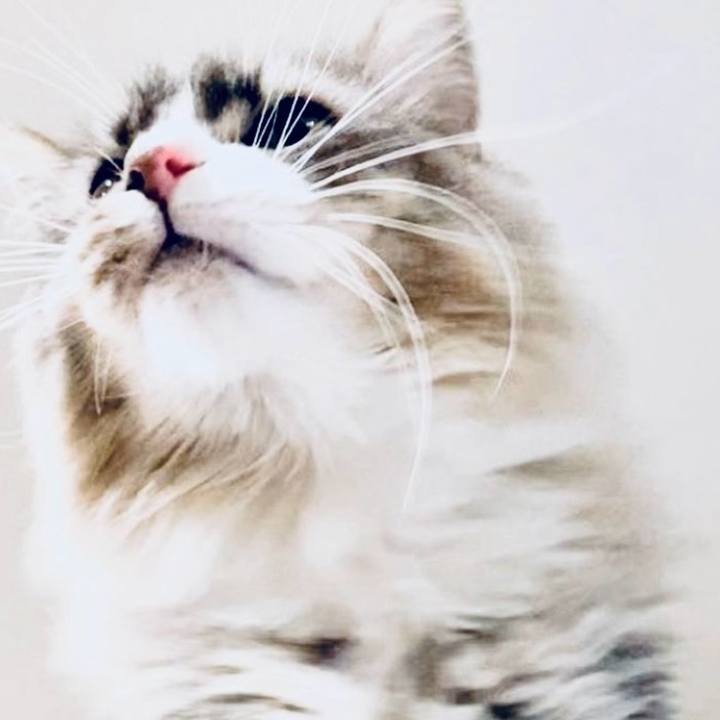 7c633720 e4c4 4528 9599 eaa7686801f9 1749581682057