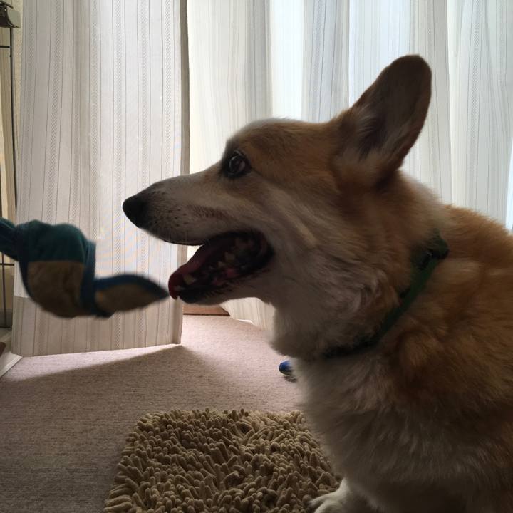 7c6339c0 1356 4d5d 8acd dbed7321741a 1527263380263