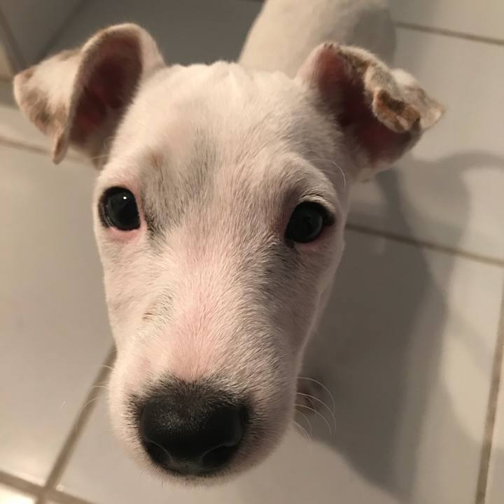 7c634033 9e64 454e ab1b 970b7b981819 1534420600632