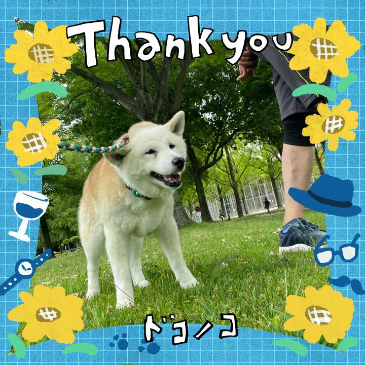 7c63430e bd7f 4597 9f49 bfb802704381 1718448443203