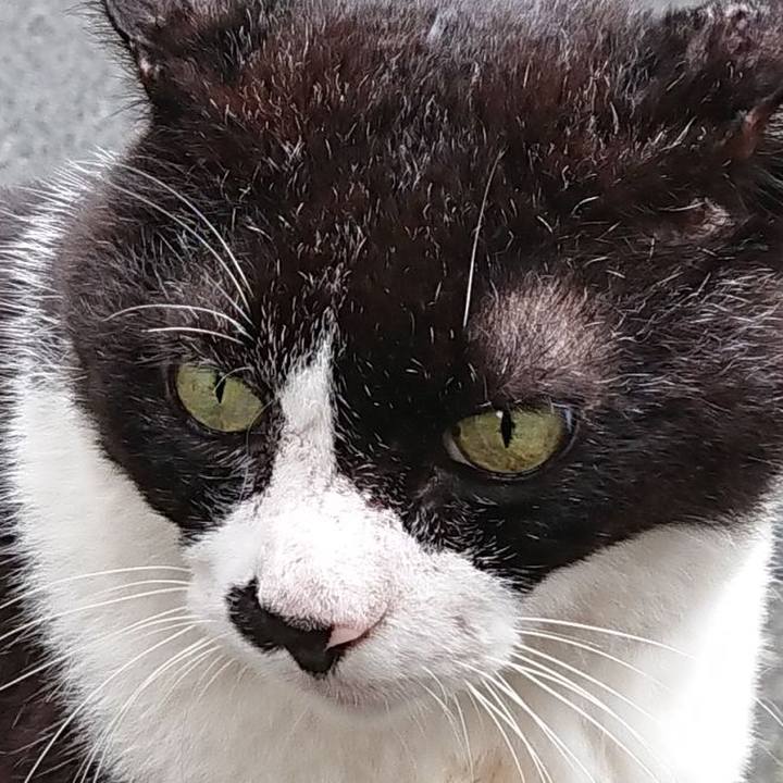 7c634ece 2af4 43bb af61 315b58a7b894 1631942477349